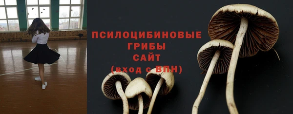 a pvp Алексин