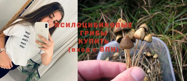 mix Алексеевка