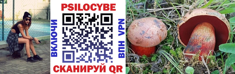 Псилоцибиновые грибы ЛСД  Купить  Высоцк 